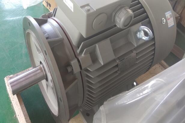 電摩電機(jī)型號(hào)有哪些，電摩電機(jī)型號(hào)詳解